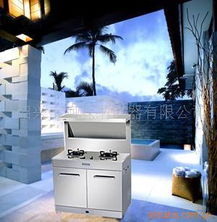 紹興市阿森納電器 打造優(yōu)質(zhì)廚衛(wèi)家電的全能選手